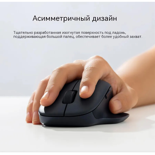 https://storage.alifshop.tj/media/images/alifshop/51983/mysh-xiaomi-mouse-2-comfort-edition-xmsmsbo1eym-chernyy-1771838500944.png
