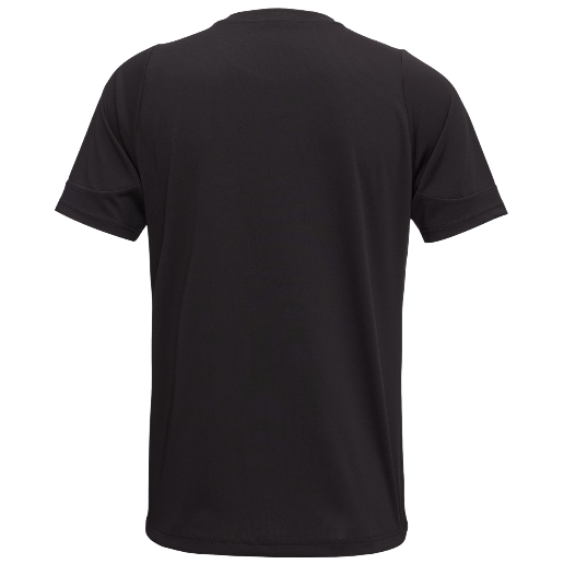 https://storage.alifshop.tj/media/images/alifshop/51996/muzhskaya-futbolka-puma-individual-cup-jersey-660244-m-chernyy-1771843911816.png