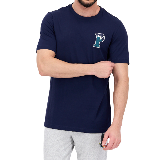 https://storage.alifshop.tj/media/images/alifshop/52115/muzhskaya-futbolka-puma-squad-graphic-tee-676783-xl-temno-siniy-1771869844134.png