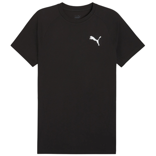 https://storage.alifshop.tj/media/images/alifshop/52123/muzhskaya-futbolka-puma-evostripe-tee-681697-xs-chernyy-1771872008799.png