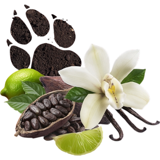 https://storage.alifshop.tj/media/images/alifshop/52138/dezodorant-stik-old-spice-nightpanther-50-ml-1771906109054.png