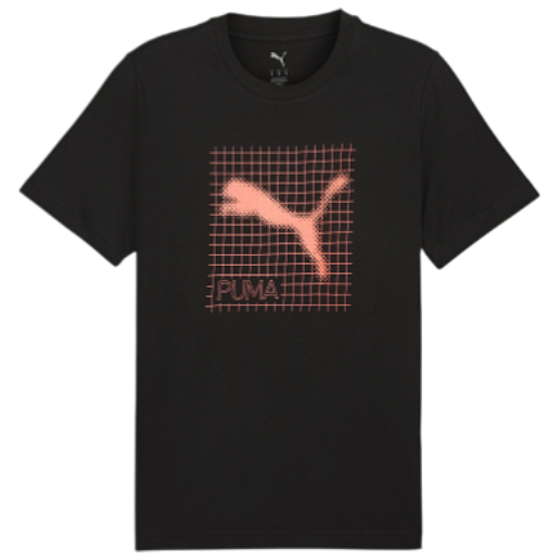 https://storage.alifshop.tj/media/images/alifshop/52206/muzhskaya-futbolka-puma-tech-graphic-tee-684607-xxl-chernyy-1771931617410.png