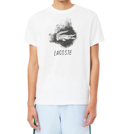 https://storage.alifshop.tj/media/images/alifshop/52262/muzhskaya-futbolka-lacoste-th8917-001-xl-belyy-1771933536521-xl.webp