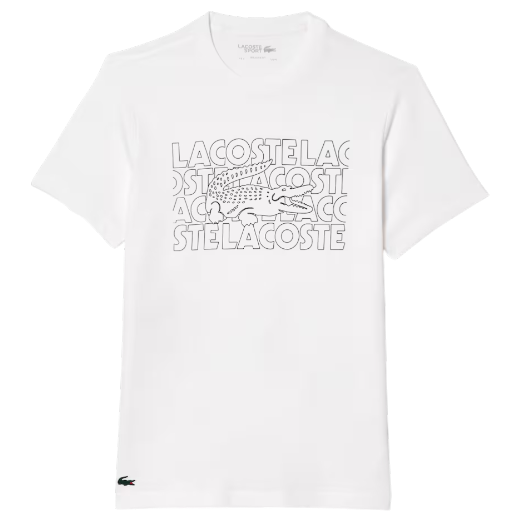 https://storage.alifshop.tj/media/images/alifshop/52313/muzhskaya-futbolka-lacoste-th7505-001-xl-belyy-1771935107698.png