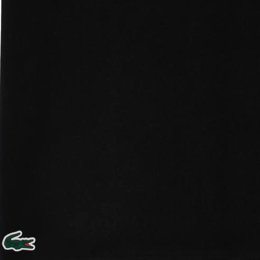 https://storage.alifshop.tj/media/images/alifshop/52319/muzhskaya-futbolka-lacoste-th7505-031-s-chernyy-1771935386188.png