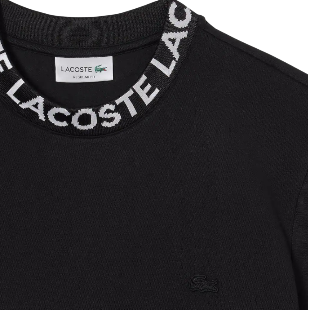 https://storage.alifshop.tj/media/images/alifshop/52453/muzhskaya-futbolka-lacoste-th9582-031-xs-chernyy-1772015463289.png