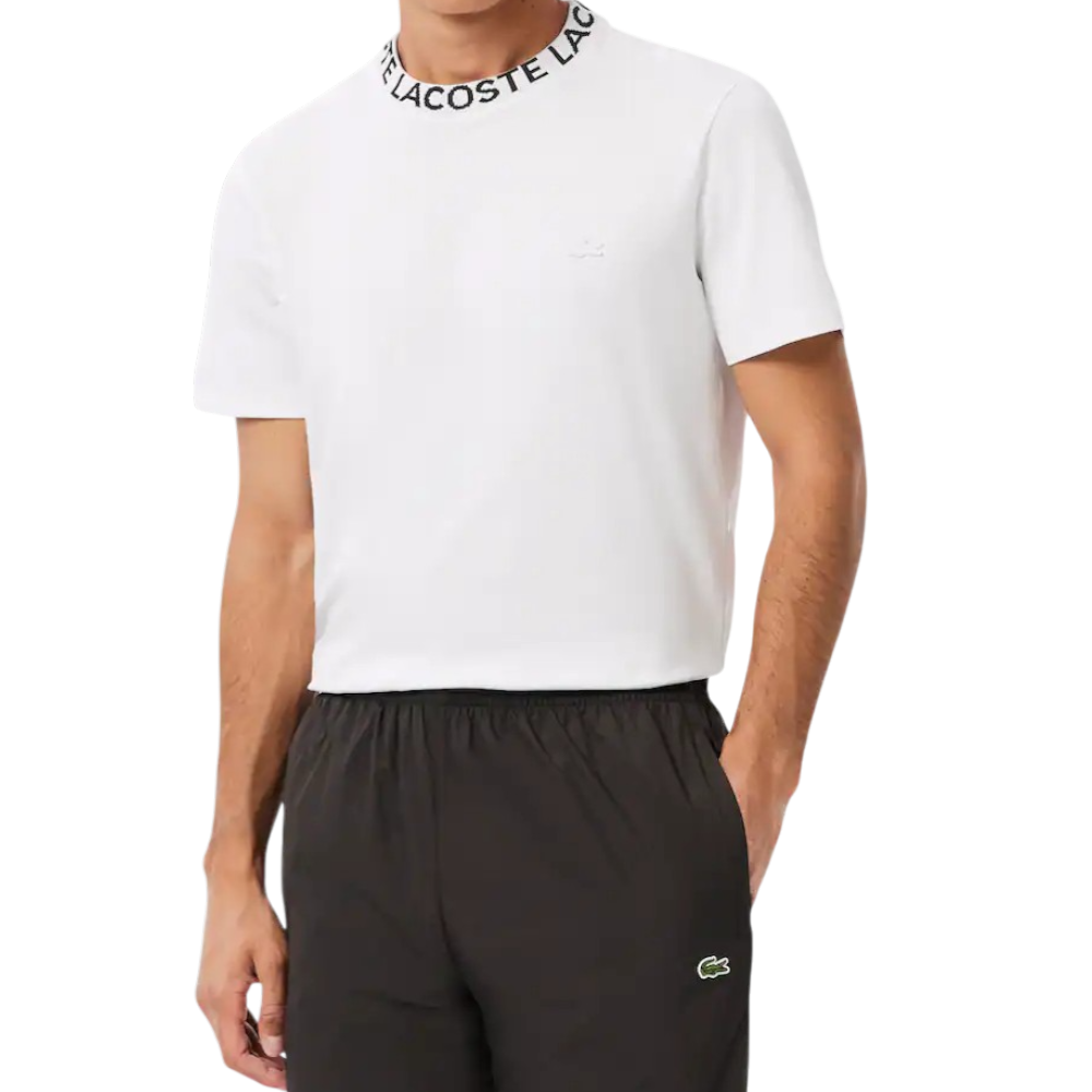 https://storage.alifshop.tj/media/images/alifshop/52462/muzhskaya-futbolka-lacoste-th9582-001-m-belyy-1772015966932.png