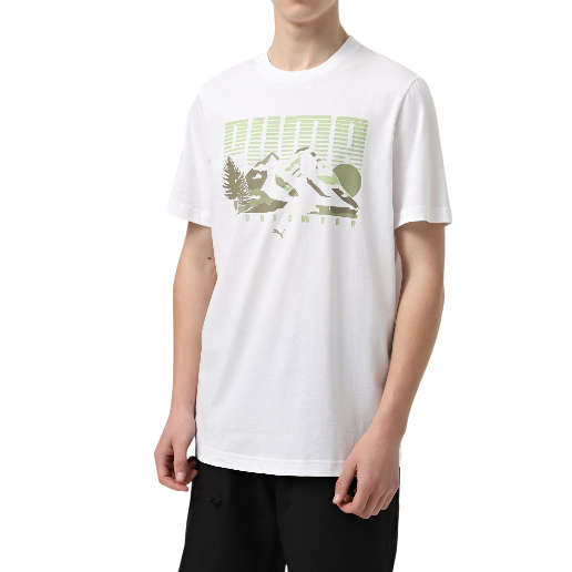 https://storage.alifshop.tj/media/images/alifshop/52476/muzhskaya-futbolka-puma-graphics-mountain-tee-684828-xl-belyy-1772016607918.png