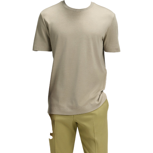 https://storage.alifshop.tj/media/images/alifshop/52485/muzhskaya-futbolka-boss-l-tesar-200-50543407-255-m-haki-1772017122923.png