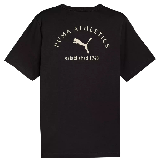 https://storage.alifshop.tj/media/images/alifshop/52611/muzhskaya-futbolka-puma-class-graphic-tee-688219-xl-chernyy-1772045012820.png
