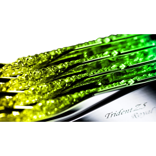 https://storage.alifshop.tj/media/images/alifshop/52731/operativnaya-pamyat-g-skill-trident-z5-royal-rgb-f5-6400j3239g16gx2-tr5s-32-gb-serebristyy-1772187695473.png