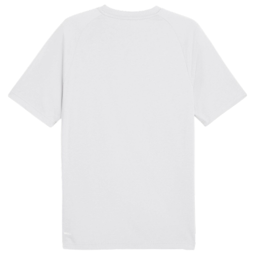 https://storage.alifshop.tj/media/images/alifshop/52774/muzhskaya-futbolka-puma-evostripe-tee-688229-xs-belyy-1772389905580.png