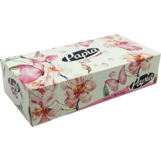 https://storage.alifshop.tj/media/images/alifshop/53036/bumazhnye-salfetki-papia-facial-tissues-100-sht-1772611695271-xl.webp