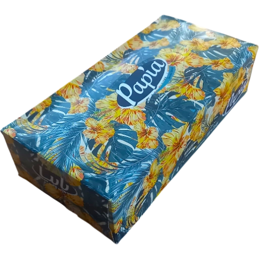 https://storage.alifshop.tj/media/images/alifshop/53045/bumazhnye-salfetki-papia-facial-tissues-tropicheskiy-100-sht-1772613011107-xl.webp