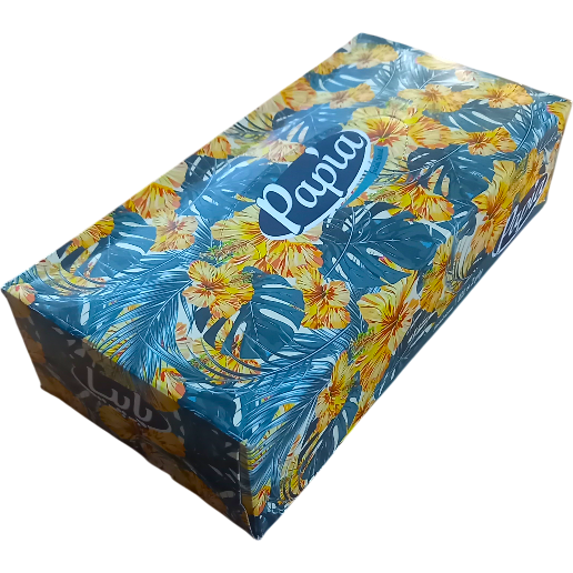 https://storage.alifshop.tj/media/images/alifshop/53045/bumazhnye-salfetki-papia-facial-tissues-tropicheskiy-100-sht-1772613011107.png