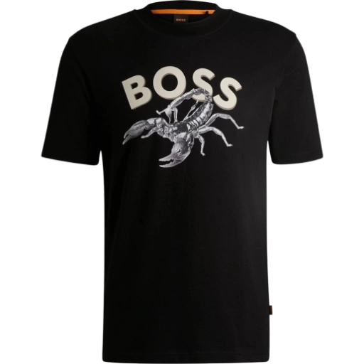 https://storage.alifshop.tj/media/images/alifshop/53095/muzhskaya-futbolka-boss-te-bossfish-50539196-001-xs-chernyy-1772623566404-xl.webp
