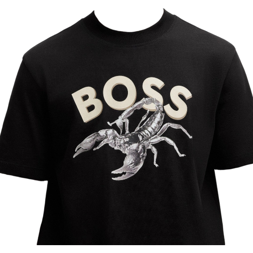 https://storage.alifshop.tj/media/images/alifshop/53104/muzhskaya-futbolka-boss-te-bossfish-50539196-001-xl-chernyy-1772624044850.png