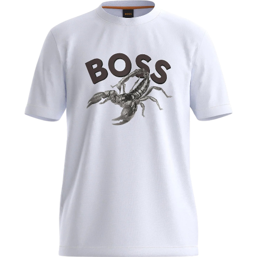 https://storage.alifshop.tj/media/images/alifshop/53109/muzhskaya-futbolka-boss-te-bossfish-50539196-100-xs-belyy-1772625800706.png