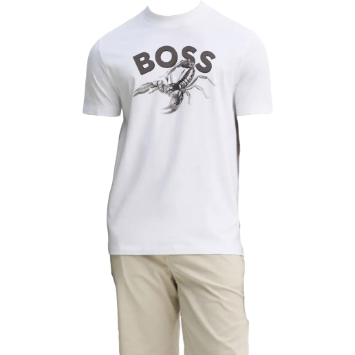 https://storage.alifshop.tj/media/images/alifshop/53109/muzhskaya-futbolka-boss-te-bossfish-50539196-100-xs-belyy-1772625802480.png