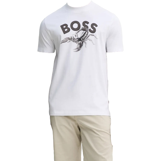 https://storage.alifshop.tj/media/images/alifshop/53109/muzhskaya-futbolka-boss-te-bossfish-50539196-100-xs-belyy-1772625805823.png