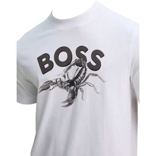 https://storage.alifshop.tj/media/images/alifshop/53119/muzhskaya-futbolka-boss-te-bossfish-50539196-100-s-belyy-1772625874950.png