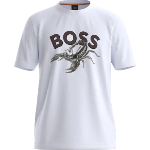 https://storage.alifshop.tj/media/images/alifshop/53121/muzhskaya-futbolka-boss-te-bossfish-50539196-100-l-belyy-1772626097929-xl.webp