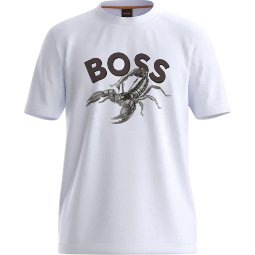 https://storage.alifshop.tj/media/images/alifshop/53123/muzhskaya-futbolka-boss-te-bossfish-50539196-100-xxl-belyy-1772626215977.png