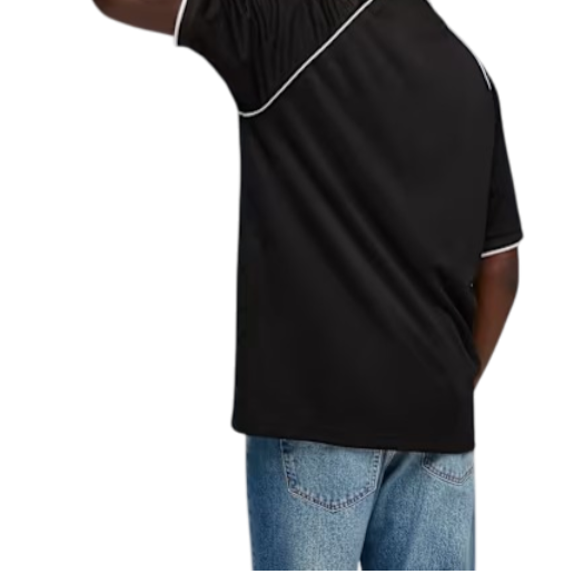 https://storage.alifshop.tj/media/images/alifshop/53635/muzhskaya-futbolka-puma-sport-pinnacle-football-jersey-692177-s-chernyy-1773165195523.png