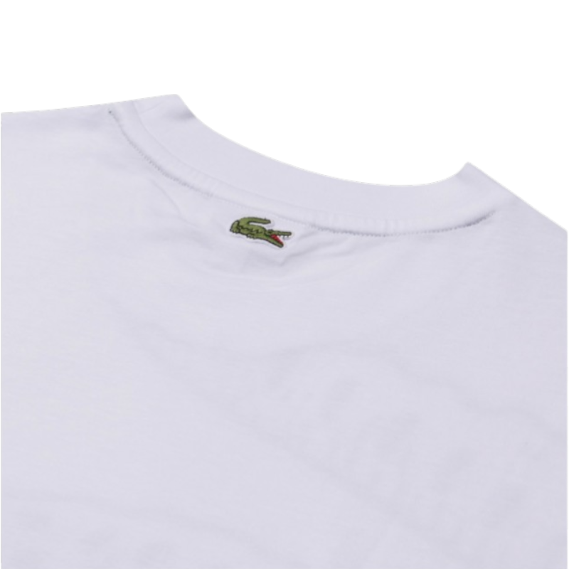 https://storage.alifshop.tj/media/images/alifshop/53668/muzhskaya-futbolka-lacoste-loose-fit-crocodile-print-crew-neck-th5511-001-xxs-belyy-1773203262278.png