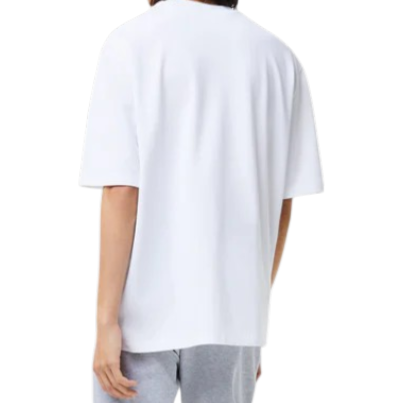 https://storage.alifshop.tj/media/images/alifshop/53708/muzhskaya-futbolka-lacoste-mens-loose-fit-organic-cotton-pique-th5529-001-xxl-belyy-1773222843825.png