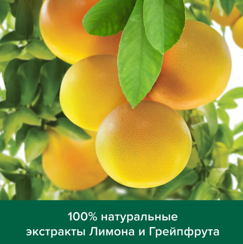 https://storage.alifshop.tj/media/images/alifshop/53784/mylo-tualetnoe-tverdoe-palmolive-naturel-uvlazhnenie-i-svezhost-150-g-1773295732625.png