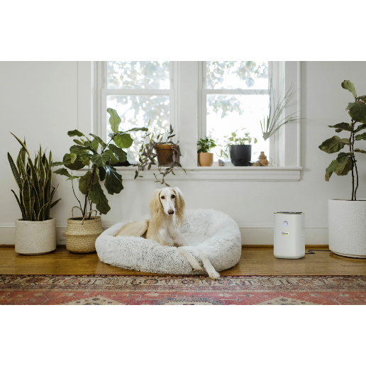 https://storage.alifshop.tj/media/images/alifshop/54168/ochistitel-vozduha-karcher-af-20-belyy-1773733548354.png