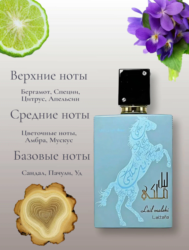 https://storage.alifshop.tj/media/images/alifshop/54203/parfyumernaya-voda-lail-maleki-moroccan-blue-lattafa-perfumes-100-ml-1773744629515.png