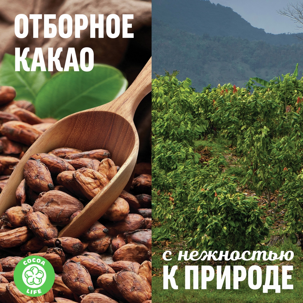 https://storage.alifshop.tj/media/images/alifshop/54303/shokolad-molochnyy-milka-mindal-i-lesnye-yagody-85-g-1773898569080.jpg