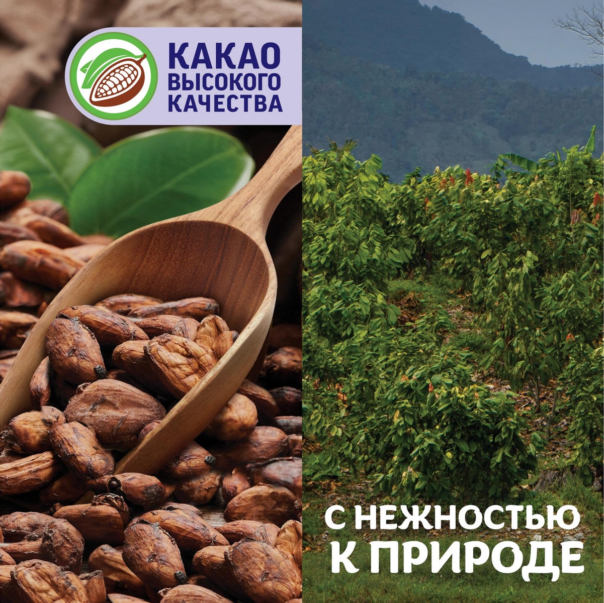 https://storage.alifshop.tj/media/images/alifshop/54306/shokolad-molochnyy-milka-s-fundukom-90-g-1776941604025.jpg