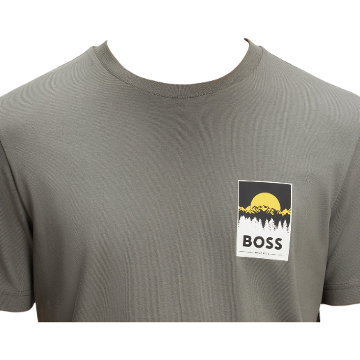 https://storage.alifshop.tj/media/images/alifshop/54371/muzhskaya-futbolka-boss-te-plain-50556023-076-m-seryy-1773912095820.png