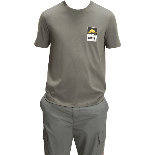 https://storage.alifshop.tj/media/images/alifshop/54374/muzhskaya-futbolka-boss-te-plain-50556023-076-xl-seryy-1773912250164.png