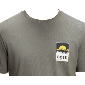 https://storage.alifshop.tj/media/images/alifshop/54374/muzhskaya-futbolka-boss-te-plain-50556023-076-xl-seryy-1773912251047-lg.webp