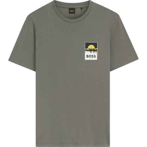 https://storage.alifshop.tj/media/images/alifshop/54375/muzhskaya-futbolka-boss-te-plain-50556023-076-xxl-seryy-1773912321663.png