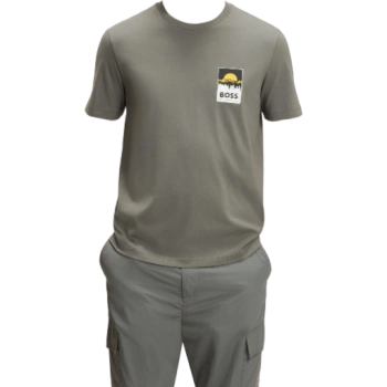 https://storage.alifshop.tj/media/images/alifshop/54375/muzhskaya-futbolka-boss-te-plain-50556023-076-xxl-seryy-1773912322651-lg.webp