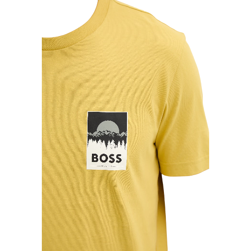 https://storage.alifshop.tj/media/images/alifshop/54381/muzhskaya-futbolka-boss-te-plain-50556023-076-xs-zheltyy-1773913678431.png