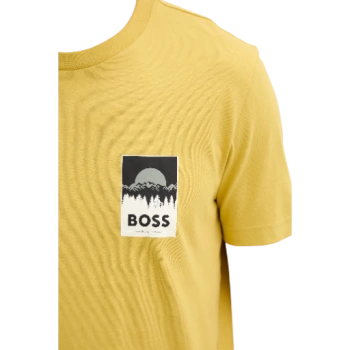 https://storage.alifshop.tj/media/images/alifshop/54385/muzhskaya-futbolka-boss-te-plain-50556023-721-l-zheltyy-1773913844229-lg.webp