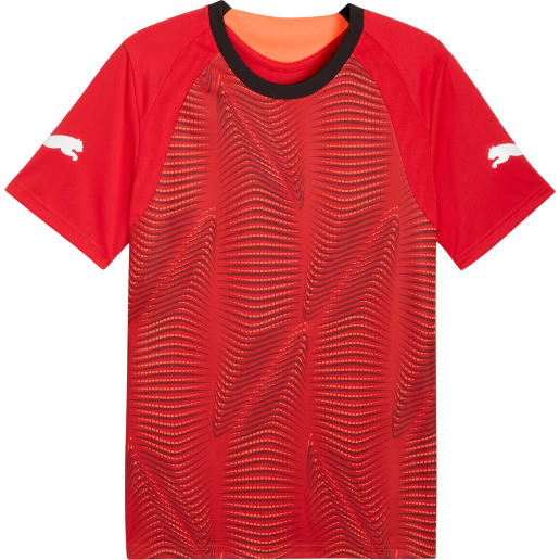 https://storage.alifshop.tj/media/images/alifshop/54386/muzhskaya-futbolka-puma-individualfinal-football-jersey-660424-01-xs-krasnyy-1773914204746.png