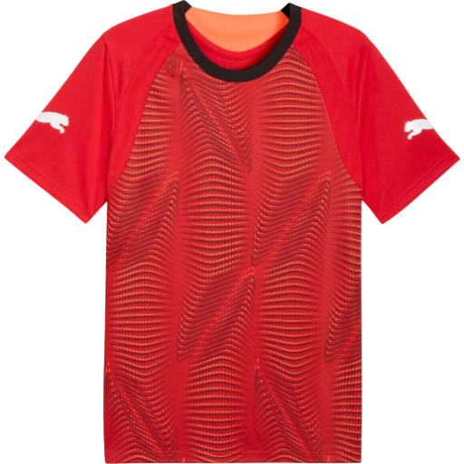 https://storage.alifshop.tj/media/images/alifshop/54389/muzhskaya-futbolka-puma-individualfinal-football-jersey-660424-01-s-krasnyy-1773914272582-xl.webp