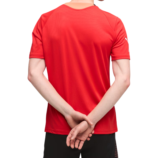 https://storage.alifshop.tj/media/images/alifshop/54389/muzhskaya-futbolka-puma-individualfinal-football-jersey-660424-01-s-krasnyy-1773914275613.png
