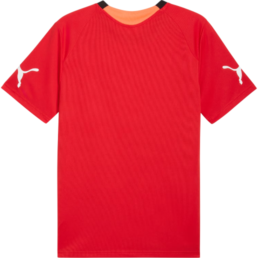 https://storage.alifshop.tj/media/images/alifshop/54392/muzhskaya-futbolka-puma-individualfinal-football-jersey-660424-01-xl-krasnyy-1773914420866.png