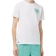 https://storage.alifshop.tj/media/images/alifshop/54542/universalnaya-futbolka-lacoste-for-roland-garros-th7804-001-m-belyy-1774526602358-xs.webp