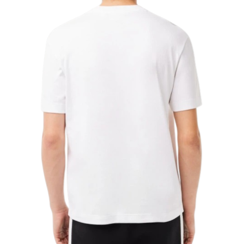 https://storage.alifshop.tj/media/images/alifshop/54687/muzhskaya-futbolka-lacoste-sport-th9426-001-3xl-belyy-1774861486369.png