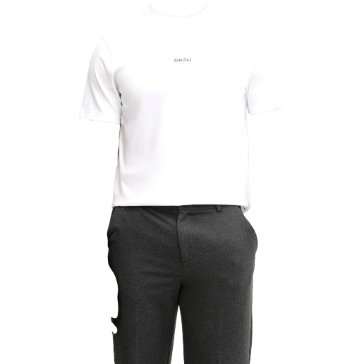 https://storage.alifshop.tj/media/images/alifshop/54721/muzhskaya-futbolka-boss-te-bossclub-50556033-100-xl-belyy-1774864287596.png