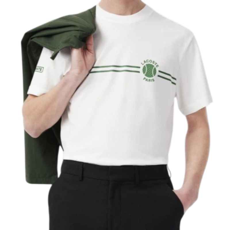 https://storage.alifshop.tj/media/images/alifshop/54771/muzhskaya-futbolka-lacoste-th9694-001-xl-belyy-1774895516311.png